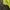 Kaos Outdoor Eider Baselayer Xenoum Green Gunung Hiking Trek