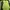 Kaos Outdoor Eider Baselayer Xenoum Green Gunung Hiking Trek photo 1