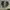 Converse Grunge Casual Sneakers Pria white black photo 3