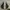 Converse Grunge Casual Sneakers Pria white black photo 4