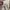 Authentic Burberry’s Floral Skirt photo 7