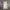 Authentic Burberry’s Floral Skirt photo 8