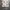 Authentic Burberry’s Floral Skirt photo 3