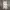 Authentic Burberry’s Floral Skirt photo 1