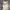 Authentic Burberry’s Floral Skirt photo 4