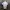 Issey Miyake Crop Top Pleats photo 7