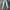 Uniqlo Selvedge Redline Sim Straight photo 1