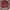 WHO AU KNIT SWEATER BOXYCUT