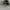 nike p6000 running photo 1