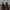 Adidas yeezy boost 350  X off white size 42 photo 3