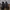 Adidas yeezy boost 350  X off white size 42 photo 1