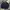 Caesars Work Jacket / Harrington Vintage Jacket photo 1