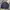 Caesars Work Jacket / Harrington Vintage Jacket photo 5