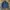 BASIC TRUKER JACKET  photo 1