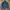 BASIC TRUKER JACKET 