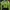Ellesse Sportswear Skater Track jacket Pria green photo 4