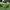 Ellesse Sportswear Skater Track jacket Pria green photo 8