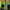 Ellesse Sportswear Skater Track jacket Pria green photo 7