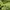 Ellesse Sportswear Skater Track jacket Pria green photo 3