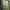 Kaos Outdoor Eider Baselayer Green Navy Green Gunung Hiking  photo 1