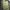 Kaos Outdoor Eider Baselayer Green Navy Green Gunung Hiking 