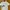 Beentrill Breaking Overfit Tee
