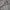 Missoni Vintage Cardigan Wanita khaki photo 4