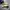 Adidas stadt photo 1