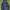 Ellesse Mont 2 Jacket Dark Navy photo 1