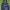 Ellesse Mont 2 Jacket Dark Navy