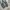 Denim wash jeans baggy pants photo 5