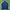 Adidas Firebird Tracktop Dark Navy