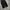 Jemut shop wide pants photo 5