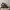 Converse chunk 70 high mountain photo 1