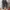 Converse chunk 70 high mountain photo 2