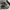 New Ballance 1906 Loafer photo 6