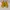 Onitsuka Tiger Mexico 66 slip on Velcro yellow blue photo 2