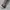 THE NORTH FACE SPEED PLUS BOA SIZE 43 photo 3