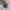 THE NORTH FACE SPEED PLUS BOA SIZE 43 photo 4