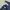 Dicki*s 874 chino workpants navy, Original Fit photo 5