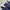 Dicki*s 874 chino workpants navy, Original Fit photo 4