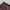 Dicki*s Flex chino workpants dark brown, Straight Fit photo 7