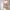 Atasan floral vintage Ruffle photo 1
