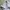 Dicki*s 874 chino longpants white, Original Fit photo 4