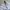 Dicki*s 874 chino longpants white, Original Fit photo 5