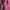Ellesse Casual Sportswear Windbreaker Wanita pink photo 6