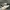 nike af1 photo 3