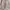 Flatshoes Ballerina Pink photo 1