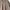 Uniqlo Minimalist Sweatshirt Pria Tan