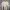Issey Miyake Longsleeve Outer photo 8